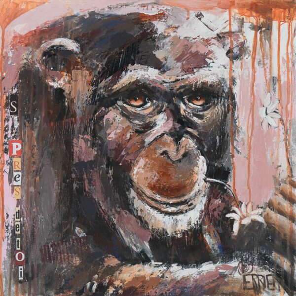 Peinture d'un singe au regard doux